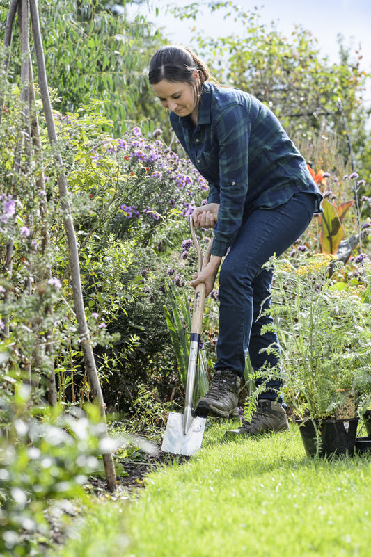 Stainless Border Spade