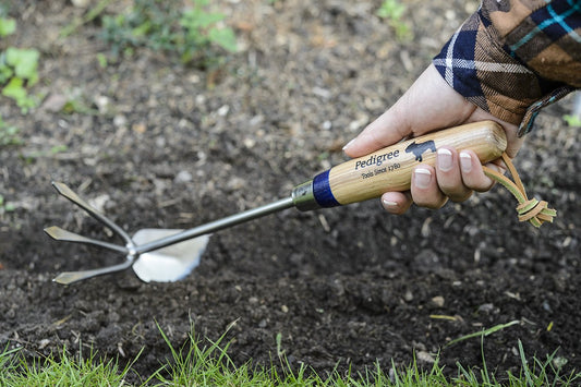 Cultivating Hoe Stainless Steel